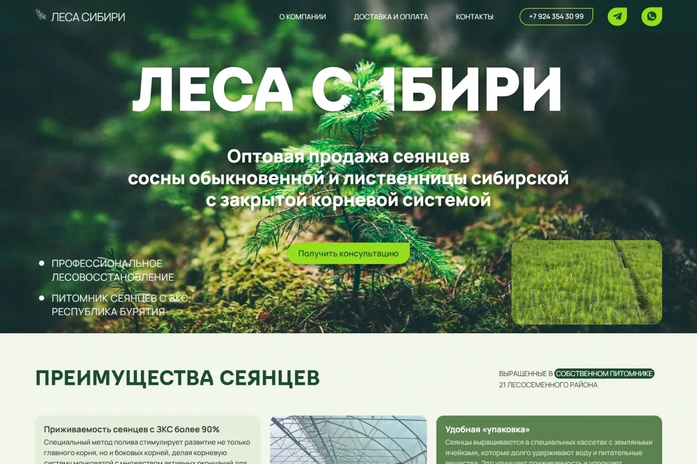 Лендинг оптовой продажи саженцев